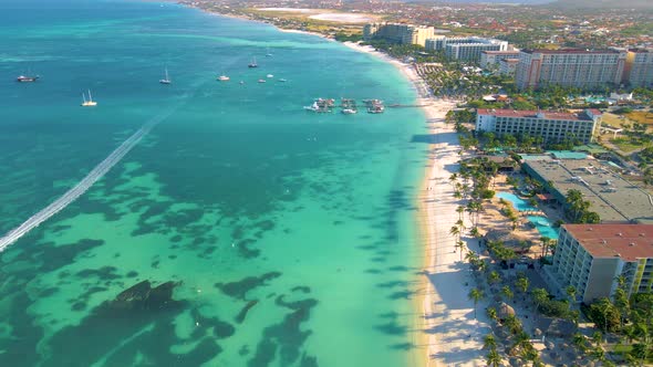 Palm Beach Aruba Amazing Tropical Beach with Palm Tree Entering the Ocean Against Azur Ocean Gold