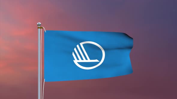 Nordic Council Flag 4k