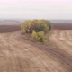 Aerial view of a trees in autumn next to an empty brown agriculture field. 4K - VideoHive Item for Sale