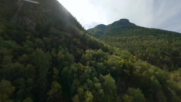 Aerial View Flying Over Amazing Sunny Mountain Landscape Covered By Multicolored Autumn Forest Trees