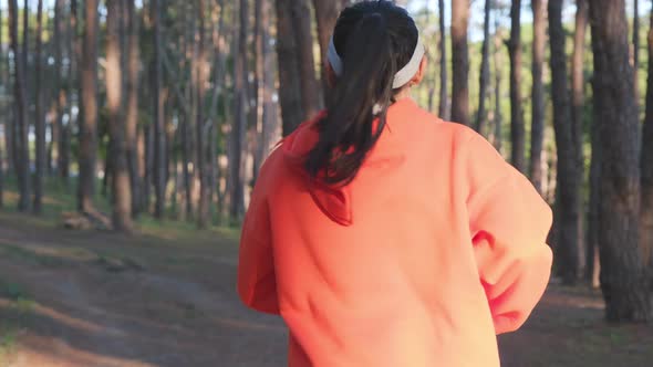 Athletic woman running on forest trail. Female runners running in nature in the morning.