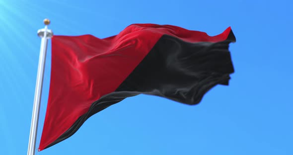 Flag of Anarchism Waving