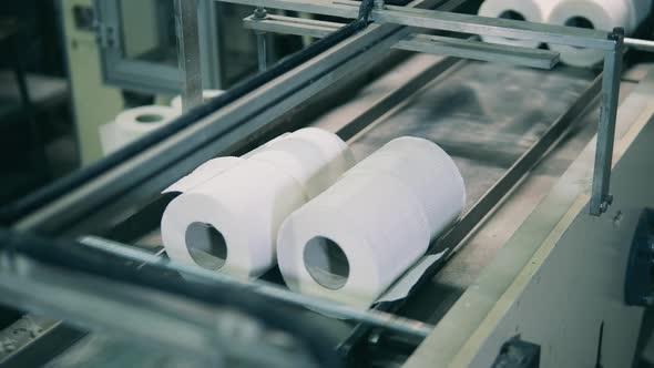 Toilet Paper Rolls Moving in Pairs on the Conveyor
