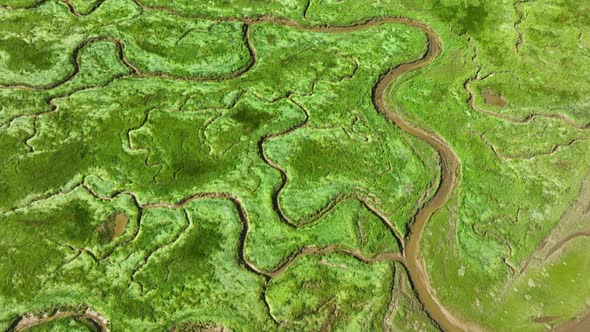 Aerial vertical tilting shot of beautiful landscape texture with bright green wetlands with grass, b