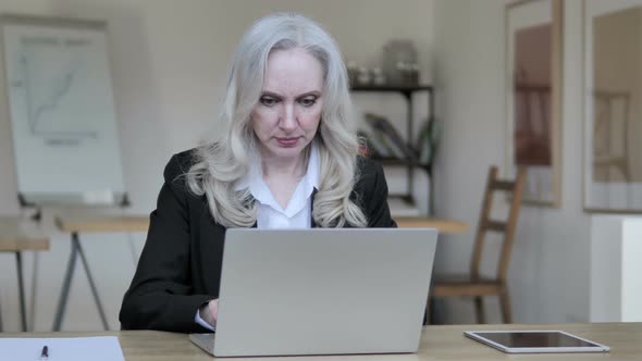 Senior Aged Businesswoman Working on Laptop