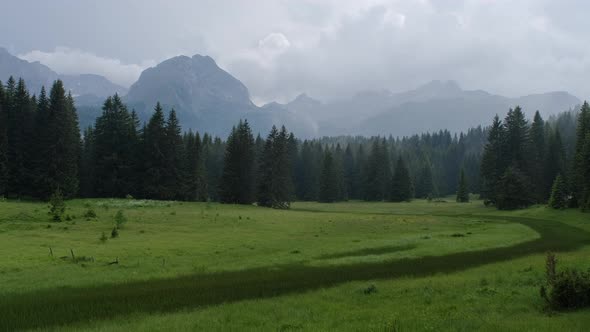 Beautiful view of the forest and mountain landscape in the north of Montenegro after the rain