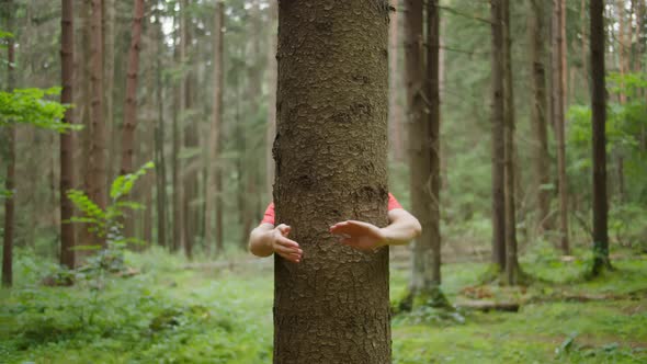 Man with Strong Hands Hugs a Tree Trunk Nature Conservation Environmental Protection
