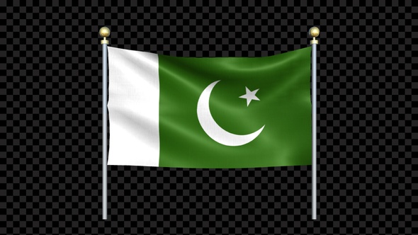 Pakistan Flag Waving In Double Pole Looped