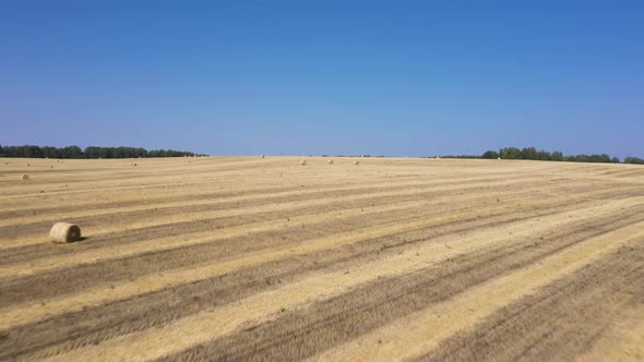 Aerial Footage of an Extensive Harvested Grain Field