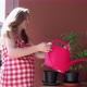 Smiling Pregnant Female Girl Watering Plants in Balcony on Sunlight - VideoHive Item for Sale