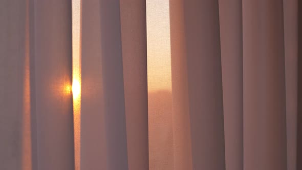 The Window is Covered with a White Tulle Curtain