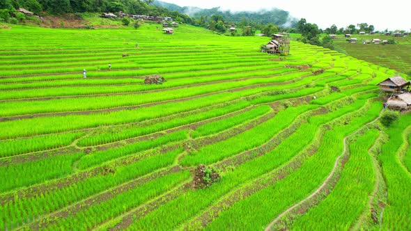 Aerial view of drones flying over rice terraces