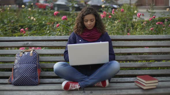 Charming Biracial Woman Sitting on Bench Outdoors, Working on Laptop, Freelancer