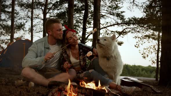 Friends Roasting Sweet Marshmallow on a Fire in the Evening in the Autumn Forest