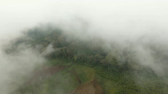 Farmland in the Mountains in the Fog