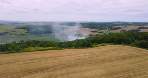 Agricultural Machinery Harvests In The Field