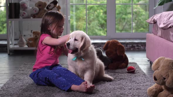 Child Playing with Puppy Sitting on Carpet at Home