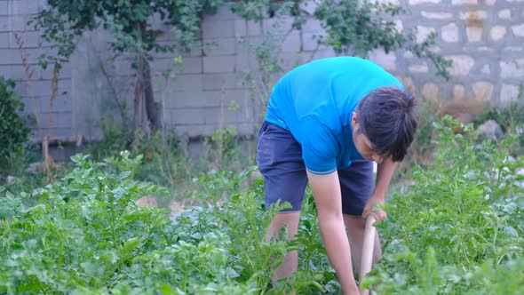 Digging Field Man Farmer