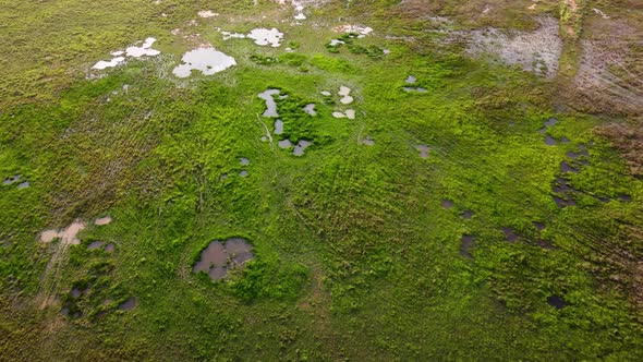 Aerial move over wetland green grass field