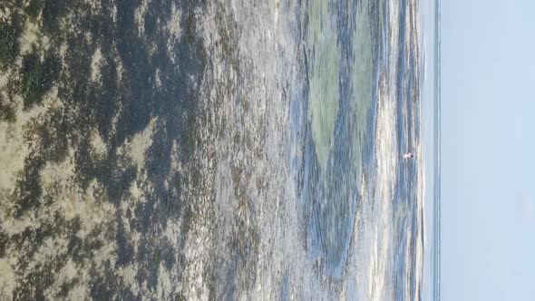 Zanzibar Tanzania  Vertical Video of Low Tide in the Ocean Near the Coast Slow Motion