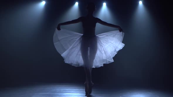 Slender Ballerina in White Tutu Dancing Elements of Classical Ballet. Close Up