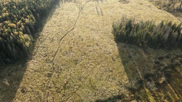 Flying Over a Bright Autumn Forest and Field