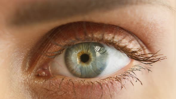 Closeup Shooting of Young Woman Painted Eyelashes with Black Mascara Eye Blinking