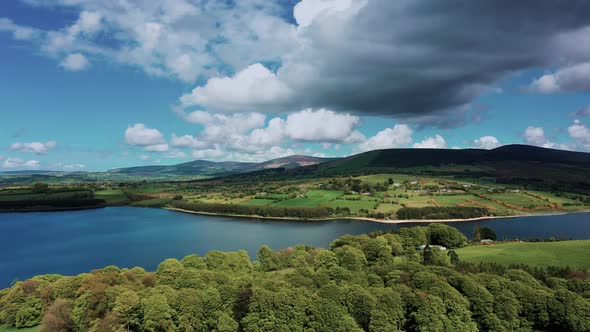 Irish nature before the storm.