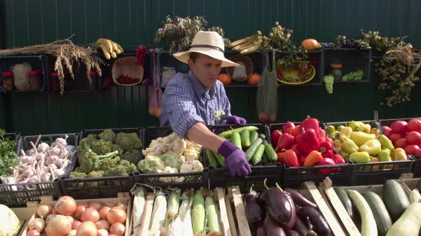 Cucumbers at the Farmers' Market. Slow Motion 2x.