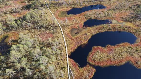 Drone aerial view to Estonian bog