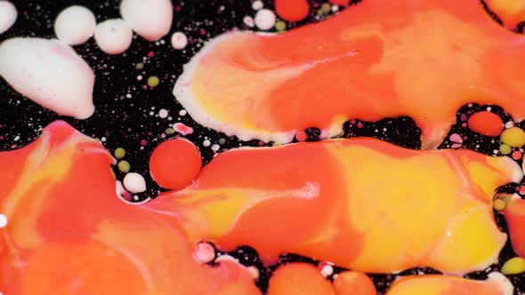 Amazing Multicolored Bubbles of Paint on the Oil Surface. Paint in Oil.