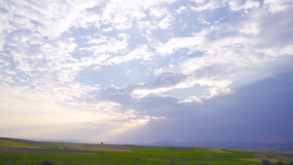 Sky and field.