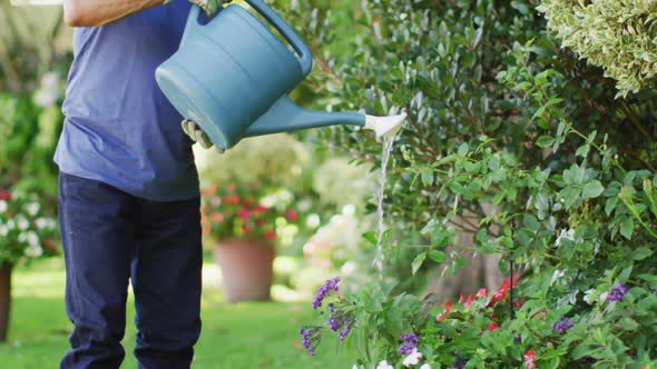 Video of focused biracial senior man watering plants in garden