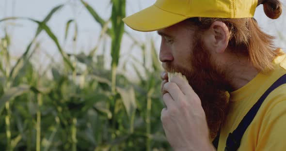 A Farmer in a Corn Field