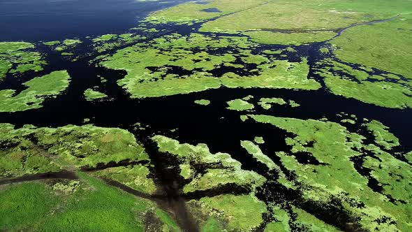 Marshland along the Saint John's River in Cocoa, Florida.