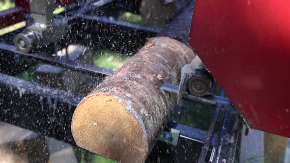 Making Timber Slats From Tree Trunks