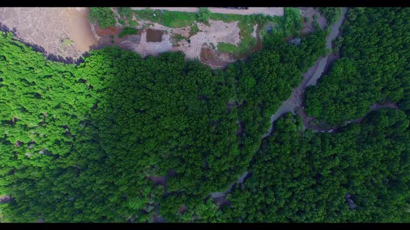 Aerial Top View Mangrove Forest Beside The Port