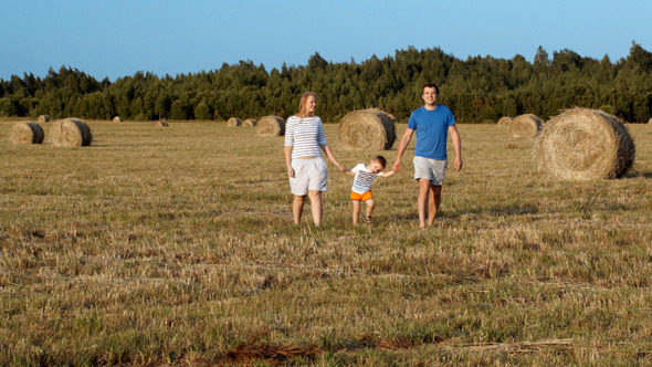 Family Walking Holding Hands In The Field