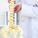 Doctor Explaining Model Of Spine To Camera - VideoHive Item for Sale