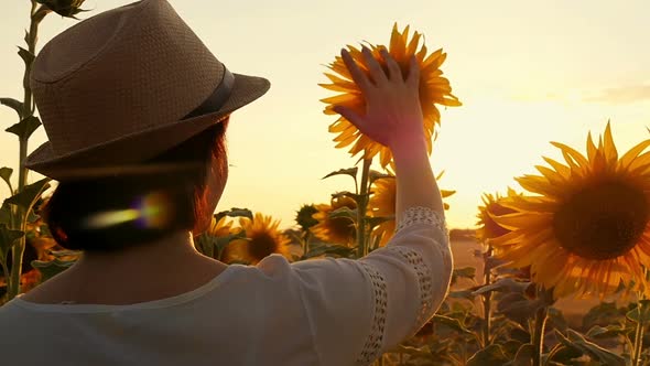 A Girl in a Straw Hat Touches a Sunflower in a Field During Sunset.