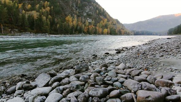 Coast Of Mountain River in The Altai, Russia