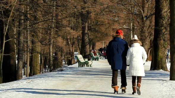 Couple Walking In The Park In Winter