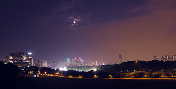 City Skyline with Night Sky