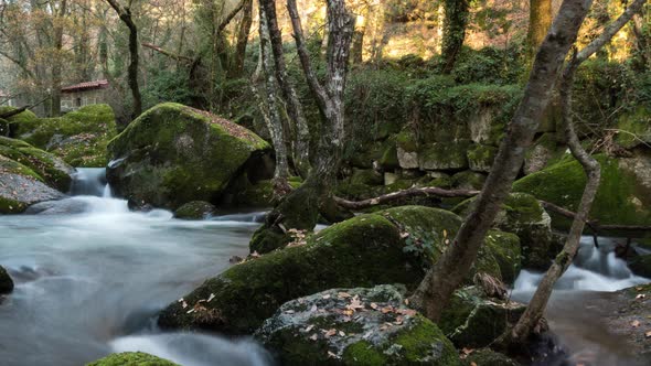 River Timelapse