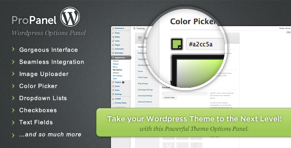 ProPanel - Wordpress Theme Options Panel