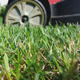 Mowing The Grass In Garden - VideoHive Item for Sale