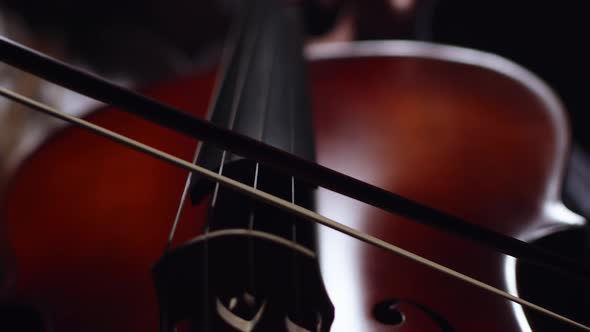 On the strings of cello the musician plays with a bow, a close-up in dark. Cellist plays cello.