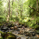 River In A Forest Landscape - VideoHive Item for Sale