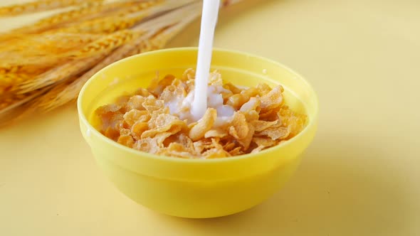 Slow Motion of Pouring Milk in Corn Flakes on Yellow Background