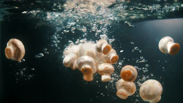 White mushrooms champignons are immersed in clear water before cooking in slow motion